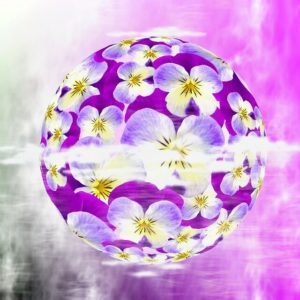 Colour Violet
